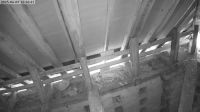 09-06-202516-37-03.jpeg