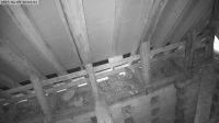 09-06-202520-06-24.jpeg