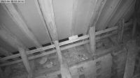 10-06-202505-21-04.jpeg