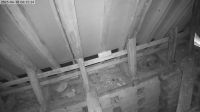 10-06-202506-15-54.jpeg