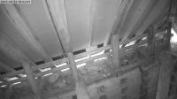 13-06-202508-02-54.jpeg