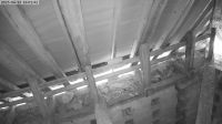 13-06-202516-02-15.jpeg