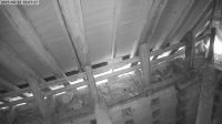 13-06-202518-08-01.jpeg