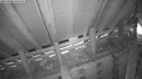 14-06-202519-16-15.jpeg