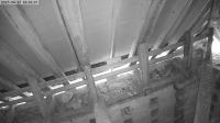15-06-202518-39-13.jpeg