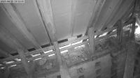 15-06-202519-13-14.jpeg