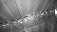 17-06-202508-08-17.jpeg