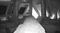19-06-202517-08-09.jpeg