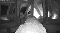20-06-202515-24-07.jpeg