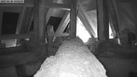 20-06-202516-02-51.jpeg