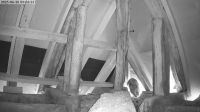 30-06-202509-07-04.jpeg