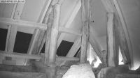 01-07-202507-21-10.jpeg