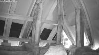 01-07-202510-21-54.jpeg