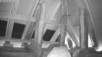 02-07-202509-12-38.jpeg