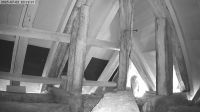 02-07-202510-30-12.jpeg